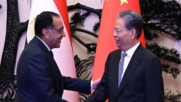 مدبولى في لقاء مع