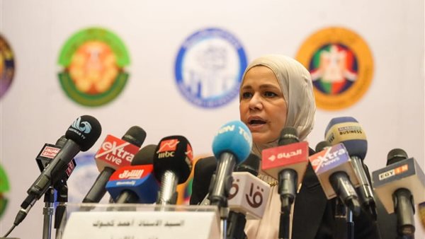 رئيس مصلحة الضرائب