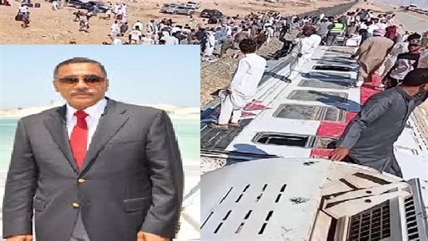 محافظ مطروح