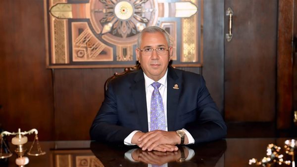 السيد القصير، أمين