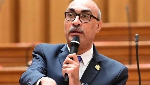 النائب إيهاب منصور،