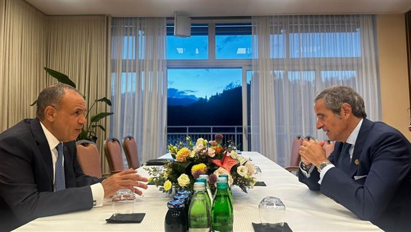 بدر عبد العاطي -