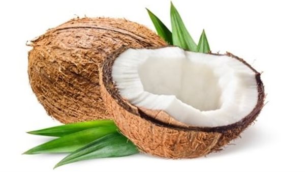 جوز الهند.. أرشيفية