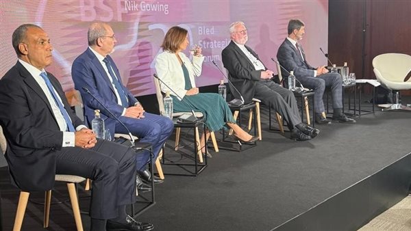 جانب من الجلسة 