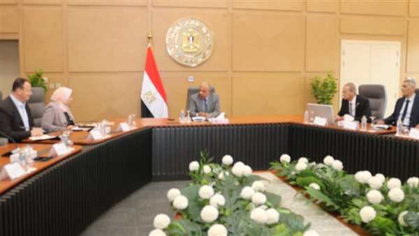 وزير الكهرباء 