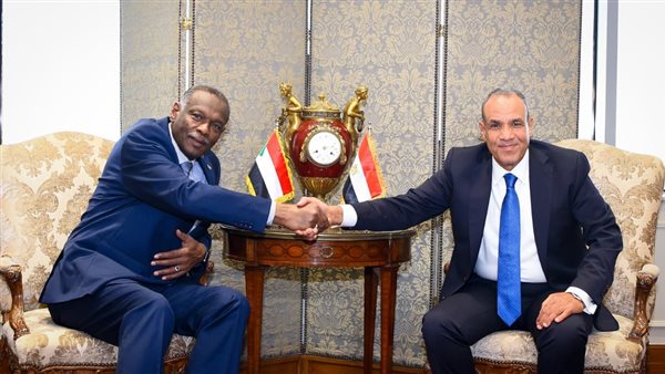 وزيرا خارجية مصر