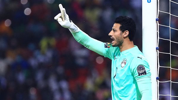 محمد الشناوي 