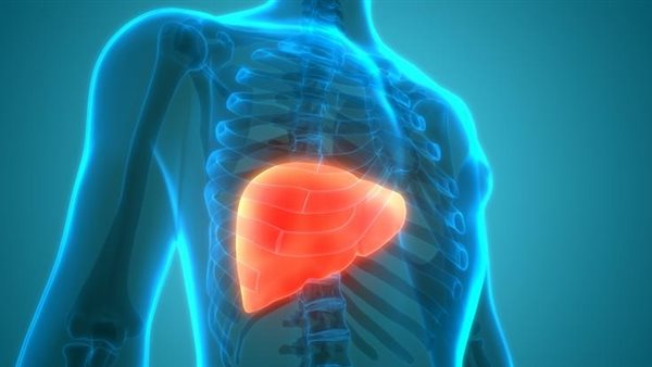 الكبد الدهني - تعبيرية
