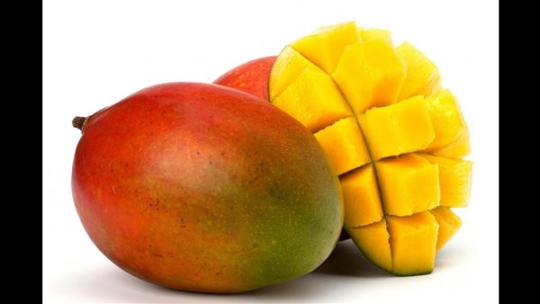 أسعار المانجا