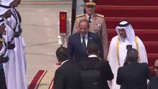 الرئيس السيسى