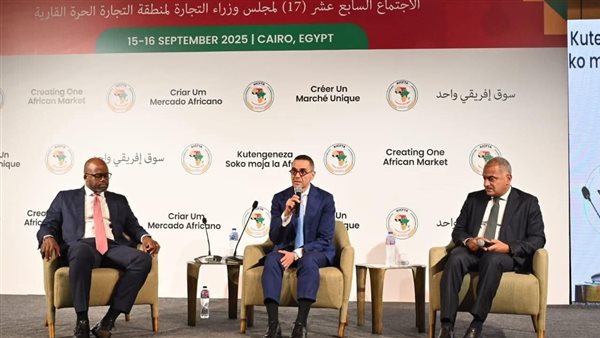 وزير الاستثمار