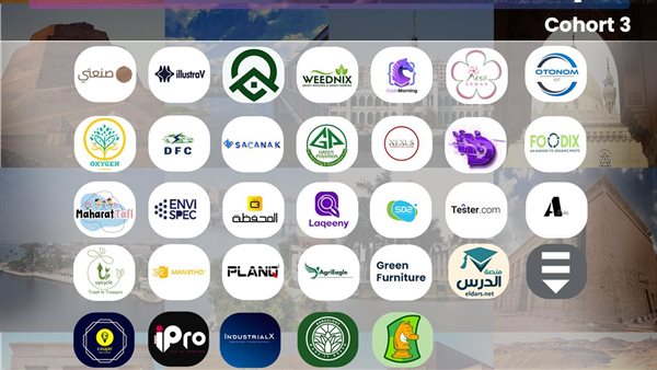 الشركات المشاركة