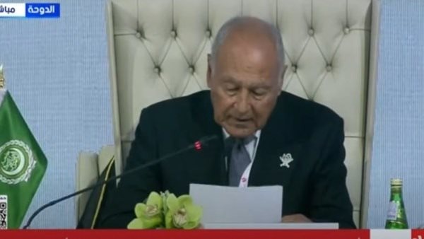 أحمد أبو الغيط، الأمين