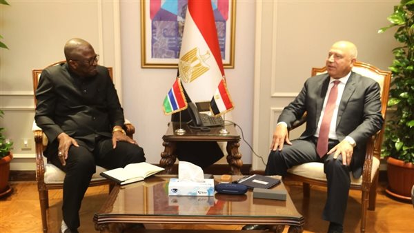 كامل الوزير 