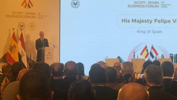 الملك فليب السادس