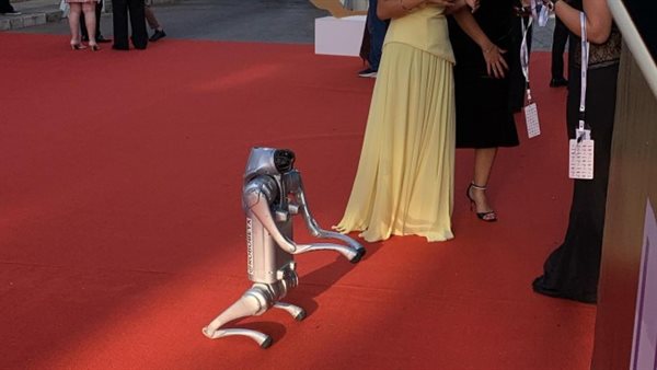 الموريكس دور 