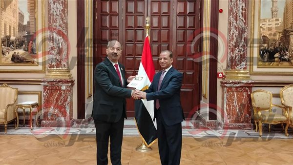 المهندس محمد الغزالى