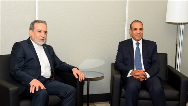 وزيرا خارجية مصر