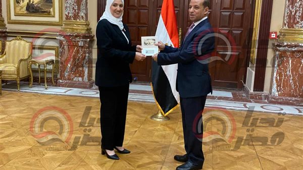 النائبة زينب فهيم