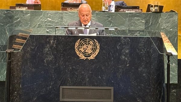 أحمد أبو الغيط 