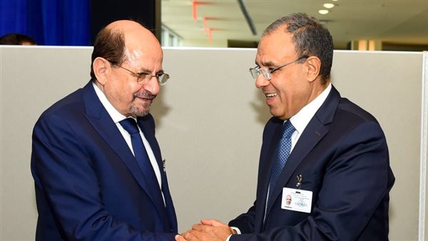 وزيرا خارجية مصر