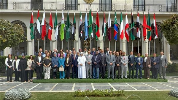 جانب من مشاركة مصر