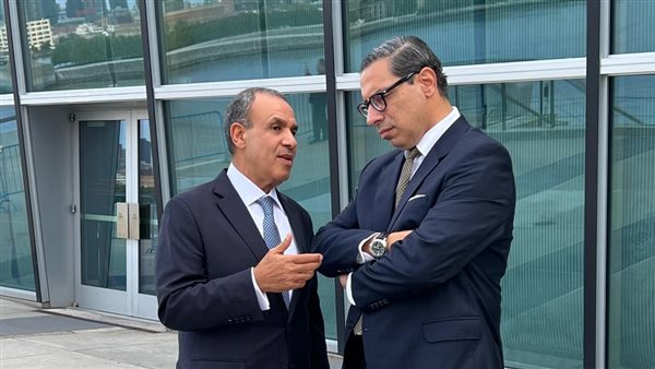 وزيرا خارجية مصر