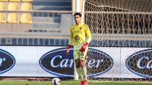 مصطفى شوبير 