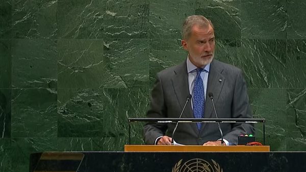  ملك إسبانيا 