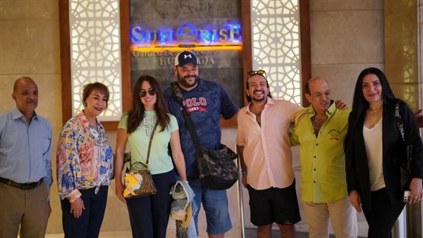 وصول النجوم إلى مهرجان