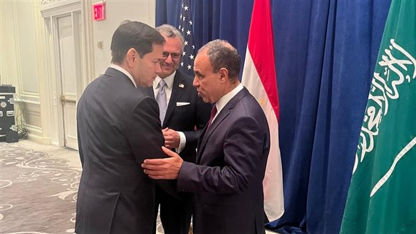 وزيرا خارجية مصر