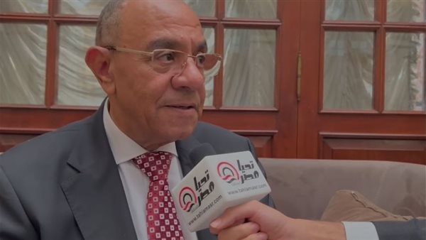 النائب عادل ناصر