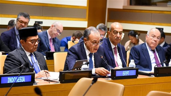 بدر عبد العاطي 