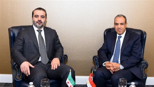 وزيرا خارجية مصر