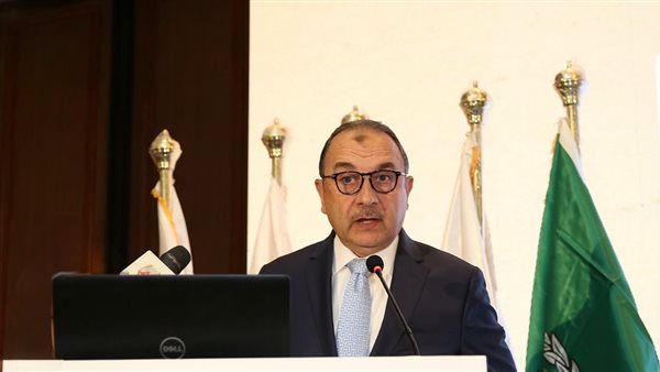 وزير قطاع الأعمال