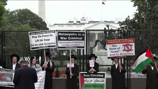 جانب من المظاهرات