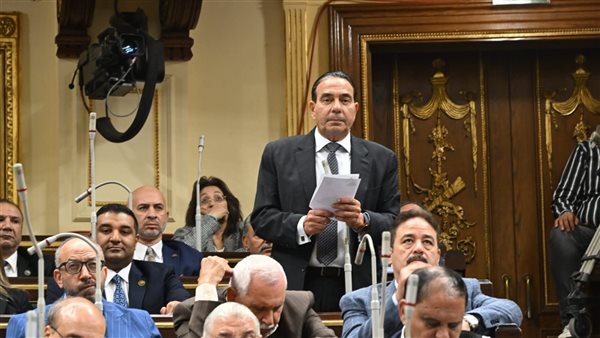  أيمن أبو العلا