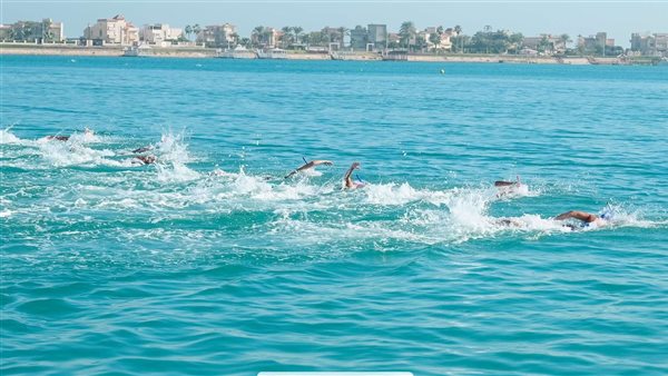 بطولة العالم للسباحة