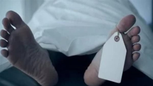 جريمة طفل الإسماعيلية..