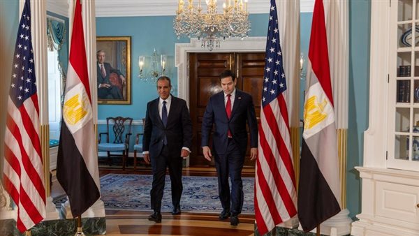 وزيرا خارجية مصر