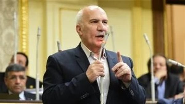 النائب السيد عبدالعال