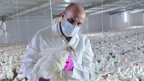 صوره أرشيفية 