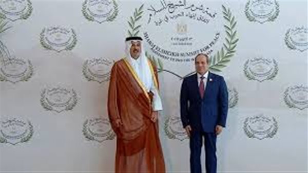 الرئيس السيسي وأمير