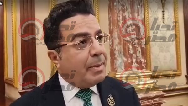  النائب باسل عادل،