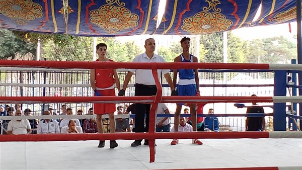 بطولة الجمهورية للملاكمة