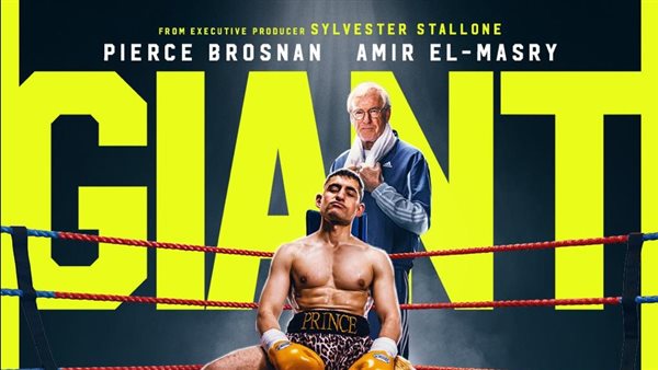 أمير المصري