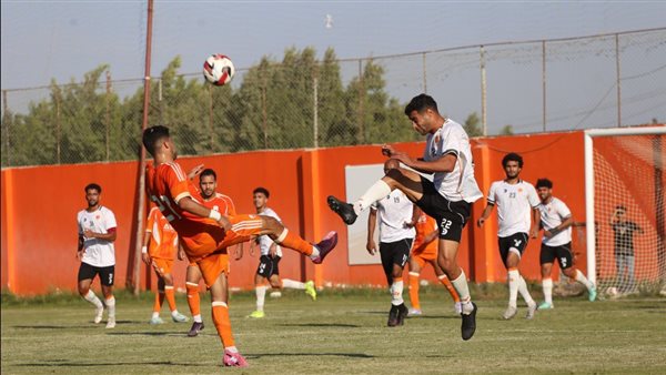 المنصورة وبروكسي