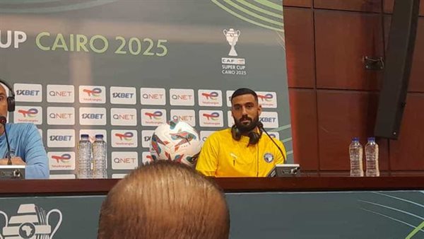 أحمد الشناوي