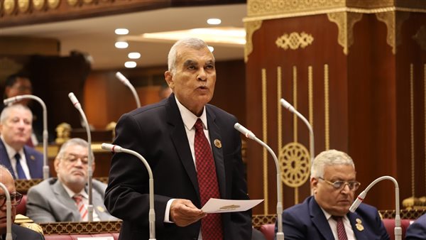 المستشار عصام الدين