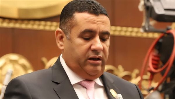 النائب أسامة مدكور